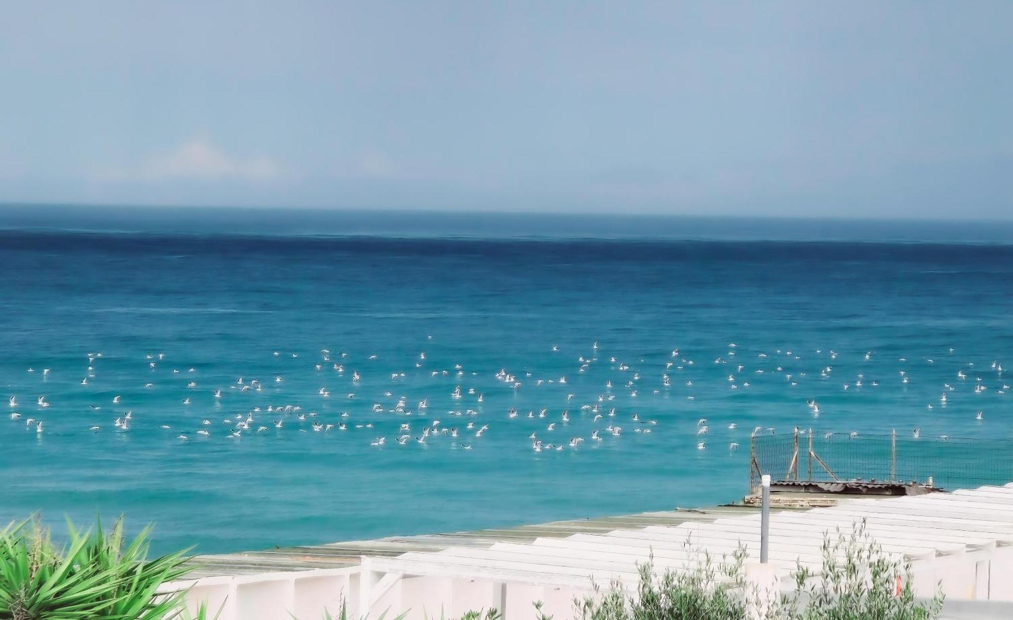 Bed and Breakfast Kale Giovinazzo Exterior foto